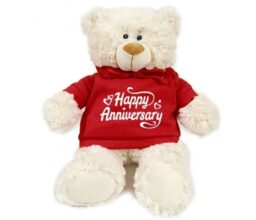 Happy Anniversary - Cream Bear red 38cm