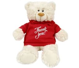 Thank You - Cream Bear red 38cm