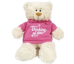 Thinking of You - Cream Bear pink 38cm