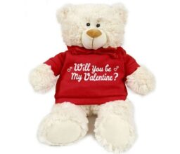 Will you be my Valentine? - Cream Bear red 38cm