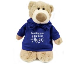 Sending You A Big Bear Hug! - Mascot Bear blue 28cm