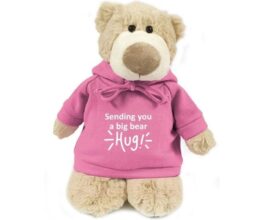 Sending You A Big Bear Hug! - Mascot Bear pink 28cm