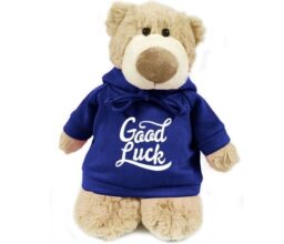 Good Luck - Mascot Bear blue  28cm