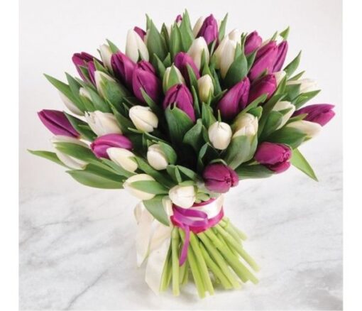 Heavenly Purple and White Blooms in Dubai