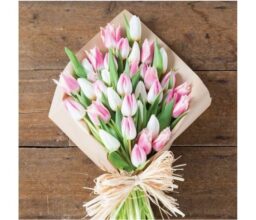 Candilicious Tulips