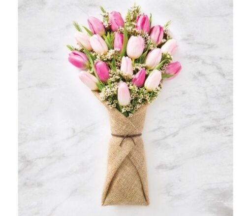 Tulips in Pink in Dubai