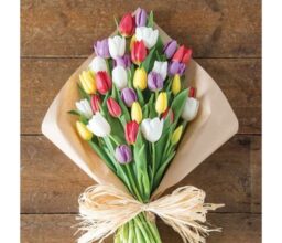 Mixed Tulip Arrangement