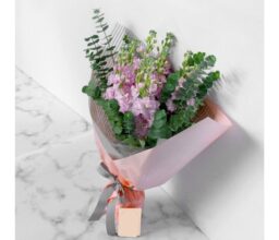 Pretty Matthiola Bouquet