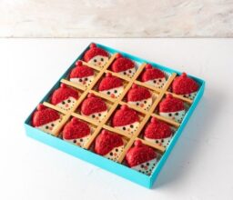 16 pcs Snowman Oreos