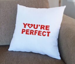 You're Perfect Cushion