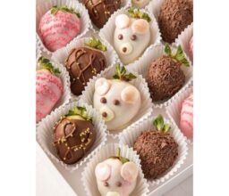 Alternative view of Berries and Bears