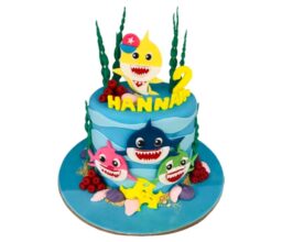 Baby Shark 1.5kg cake