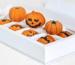 Alternative view of Mini Pumpkin Patch