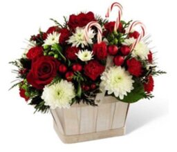 Merry Christmas Wishes