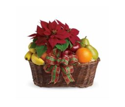 Pointsettia and Fruit Gift Basket
