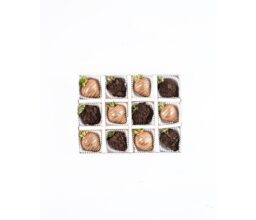 Alternative view of Golden and Dark Chocolate Covered Berries