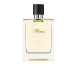 Alternative view of Hermes Terre D’Hermes For Men EDT 100ml