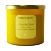 Tropical Fruit 3 Wicks Candle - 400g Wax