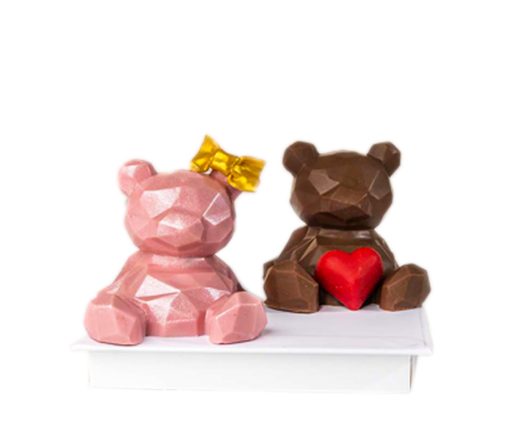 Twin Teddies in Dubai