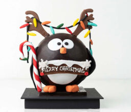 Penguin With Ribbons