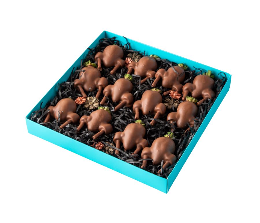 NJD_Thanksgiving_21_6