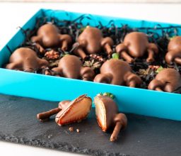 NJD_Thanksgiving_21_7_2