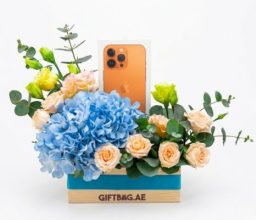 Apple iPhone 17 Pro with Cream & Blue Florals