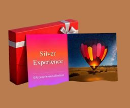 Silver Experience Collection