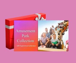 Amusement Park Experience Collection
