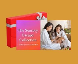 The Sensory Escape Experience Collection
